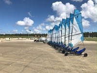 Strandsurfere på række på stranden på Rømø