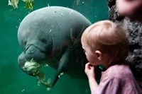 søko i Randers Regnskov