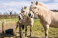 Frilandsmuseet Hjerl Hede