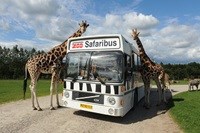 Safaribus i GIVSKUD ZOO – ZOOTOPIA