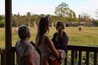 Knuthenborg Safaripark