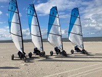 Fire strandsurfere på stribe